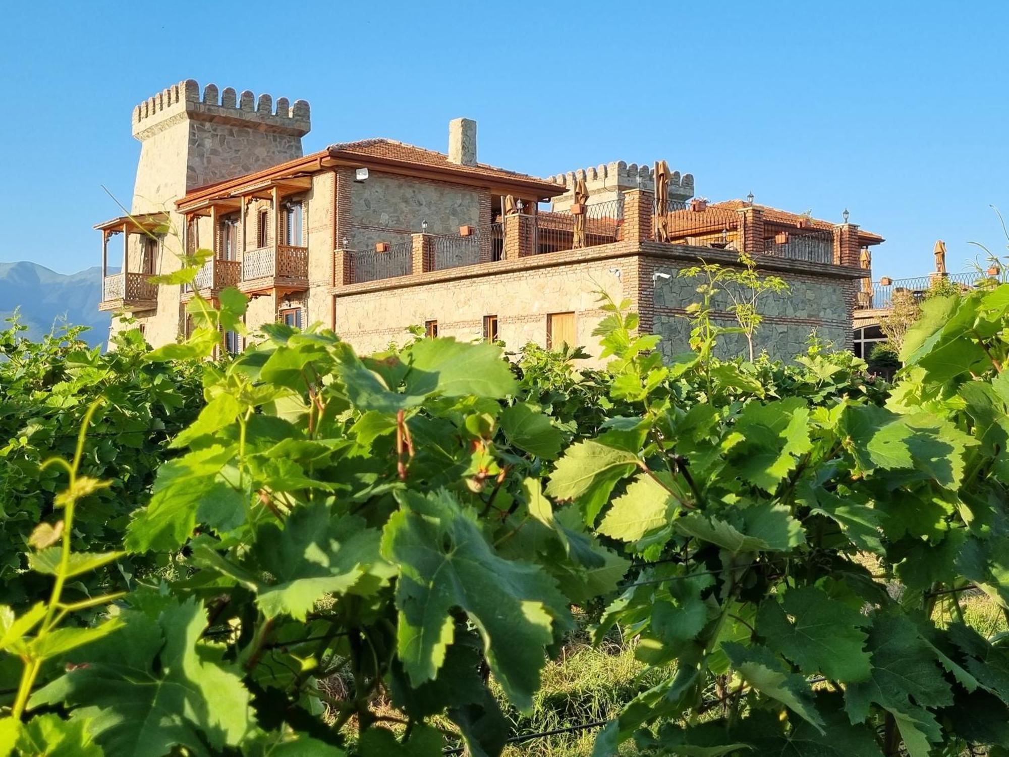 Chateau Davitiani Shilda المظهر الخارجي الصورة