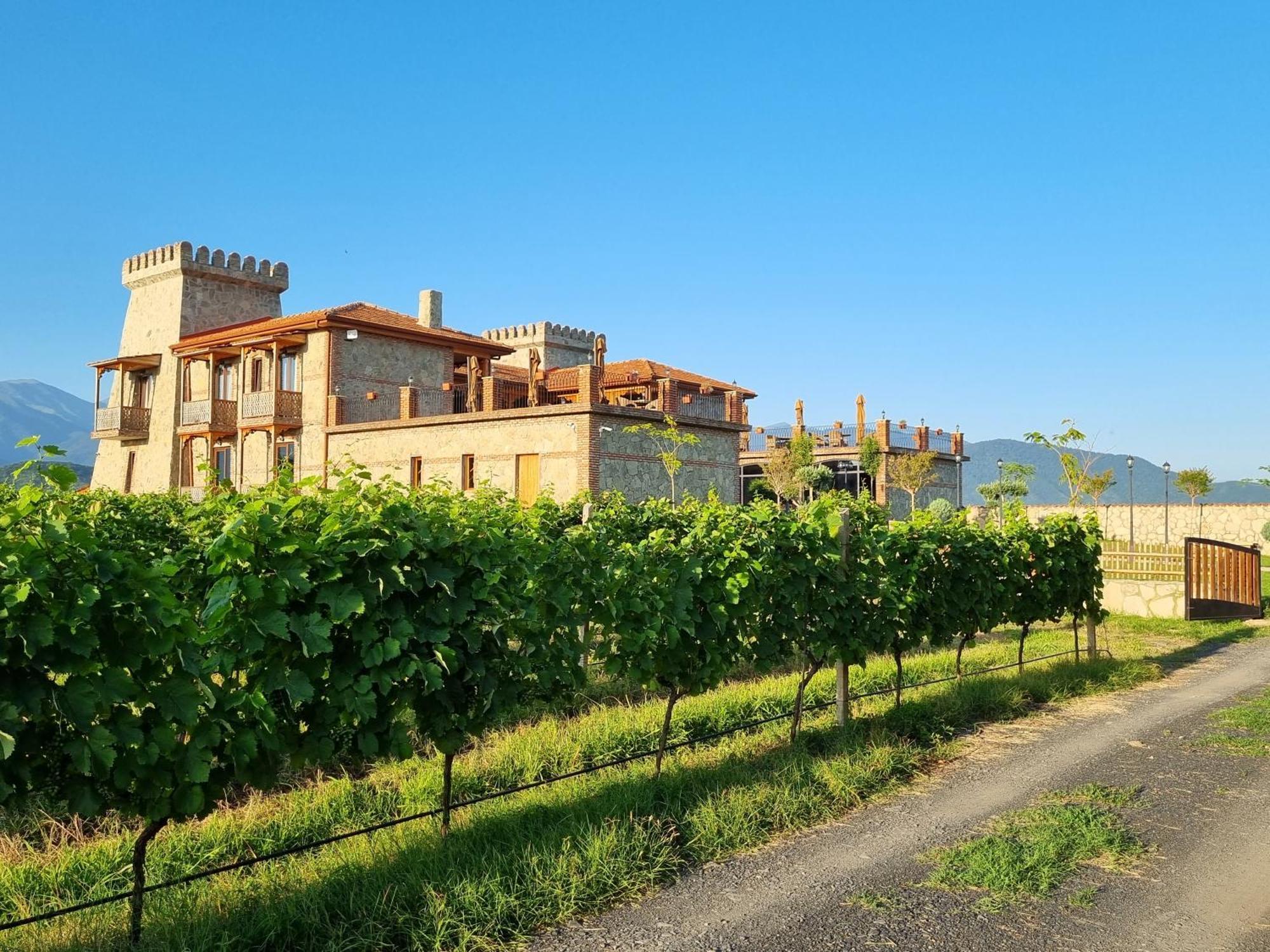 Chateau Davitiani Shilda المظهر الخارجي الصورة