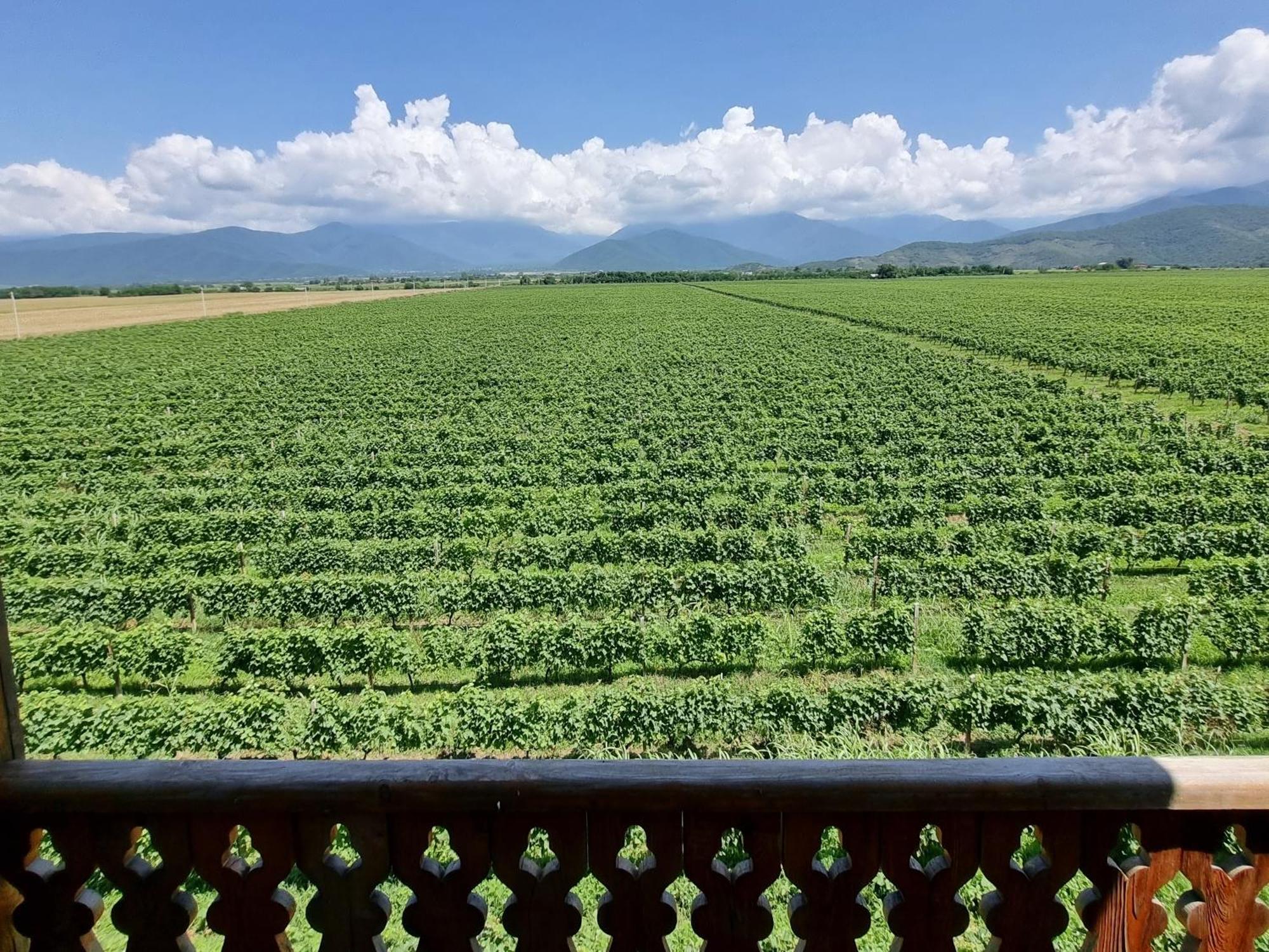 Chateau Davitiani Shilda الغرفة الصورة