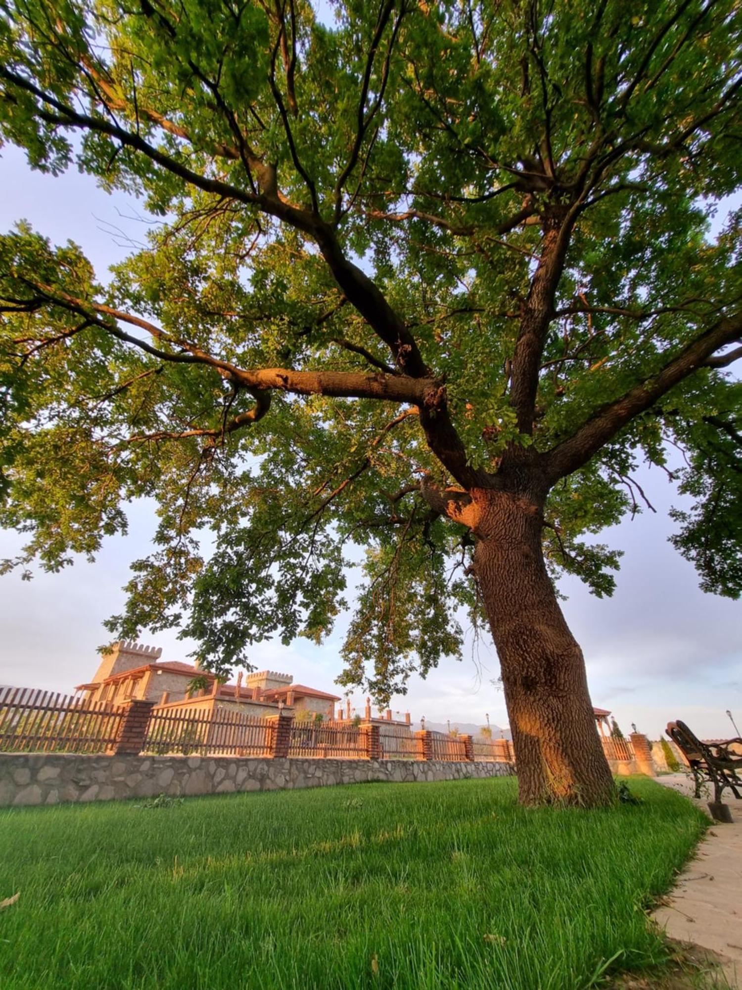 Chateau Davitiani Shilda المظهر الخارجي الصورة